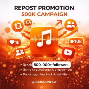 Repost Promotion 500K Campaign
